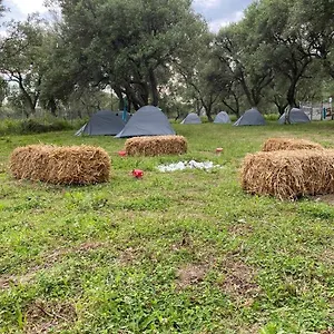  Luxuszelt Cika's Camping